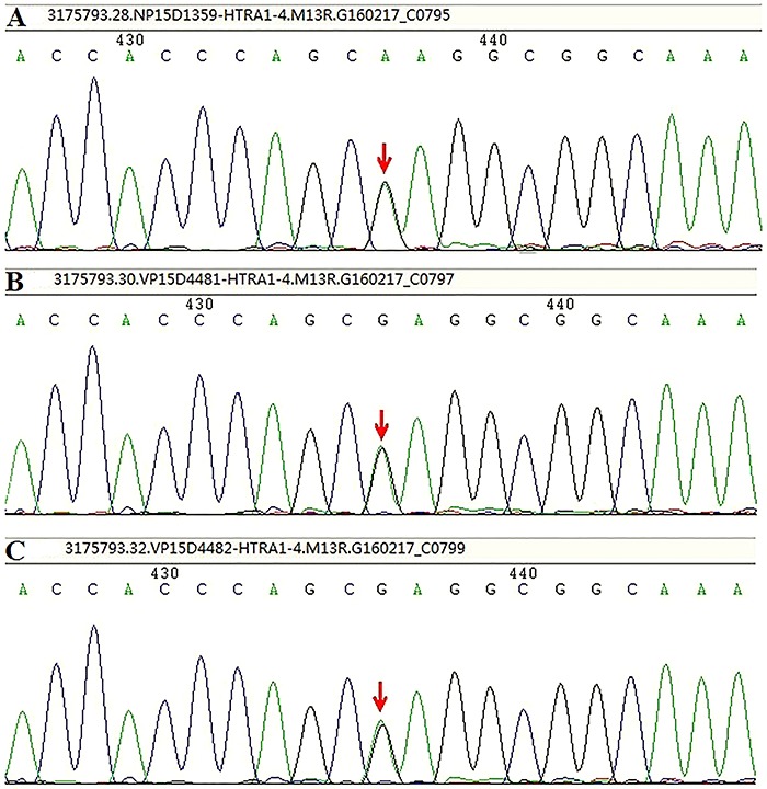 Figure 5.