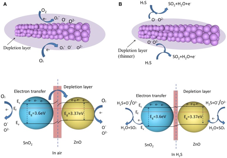 Figure 12