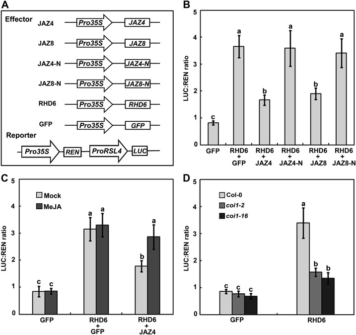 Figure 6.