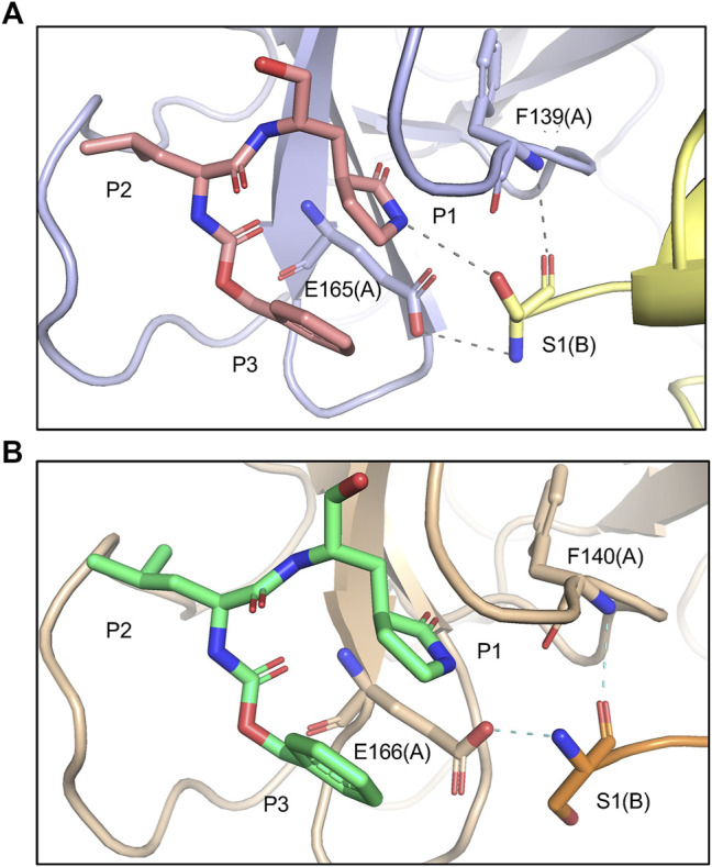 FIGURE 3