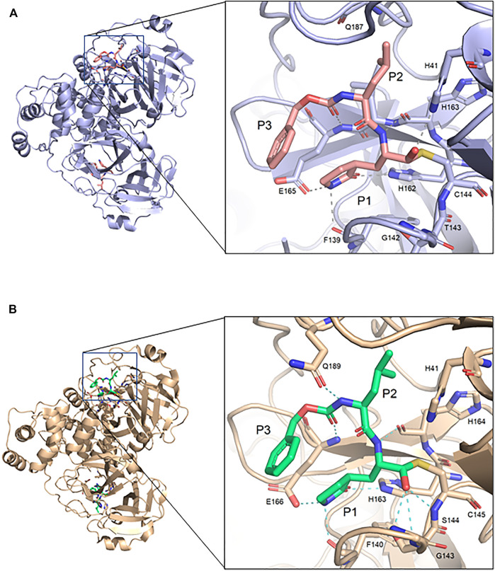 FIGURE 2