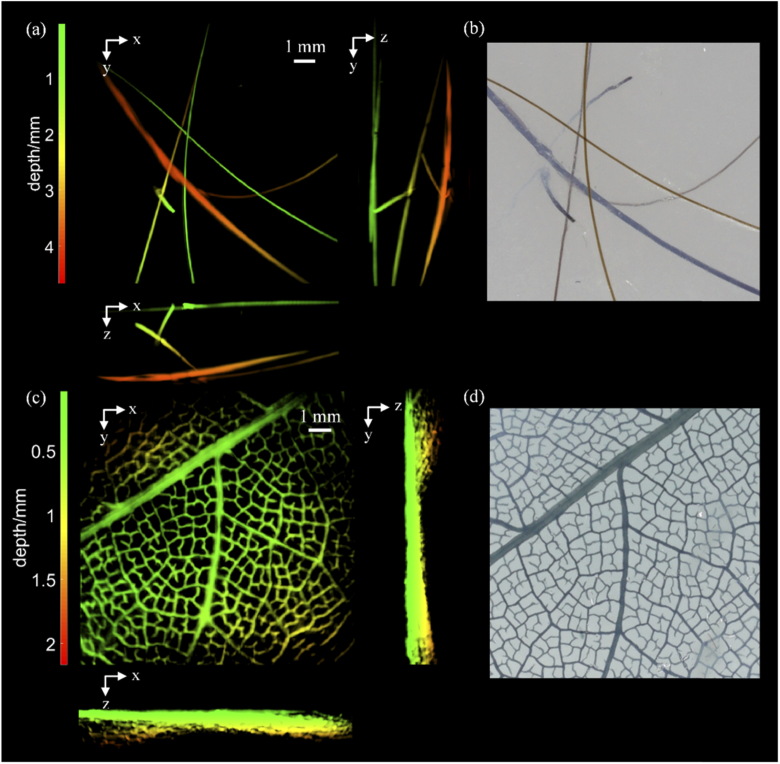 Fig. 4.