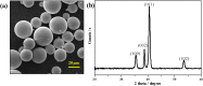 Figure 1