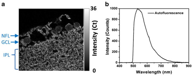 Fig. 4