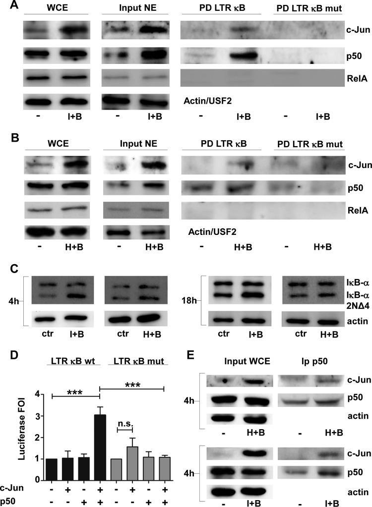 FIG 6