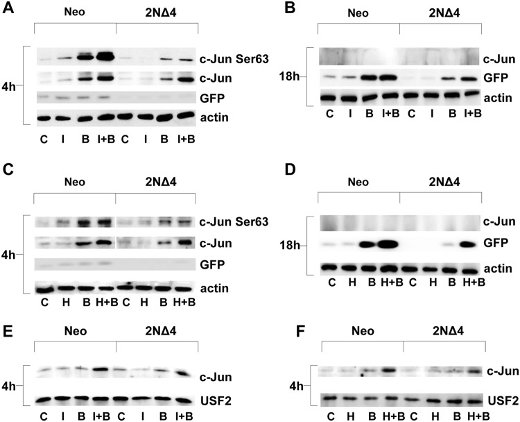 FIG 3