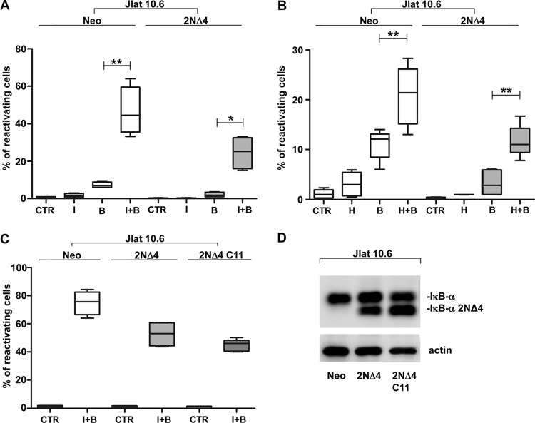 FIG 2