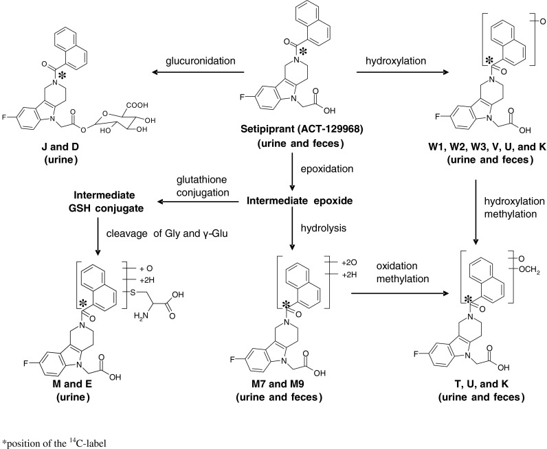 Fig. 4