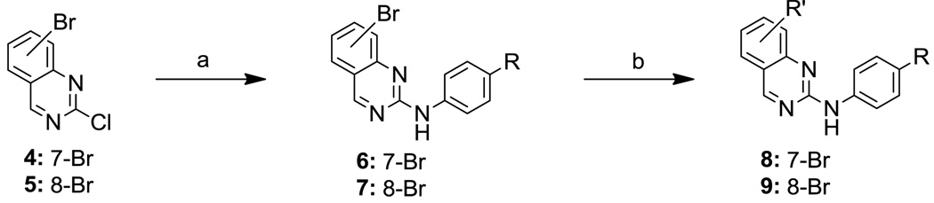 Scheme 1