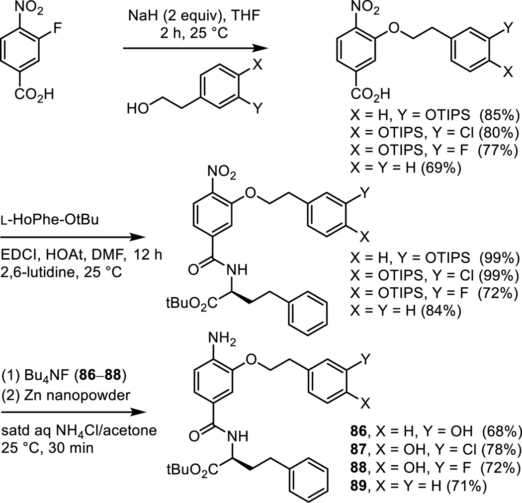 Scheme 8