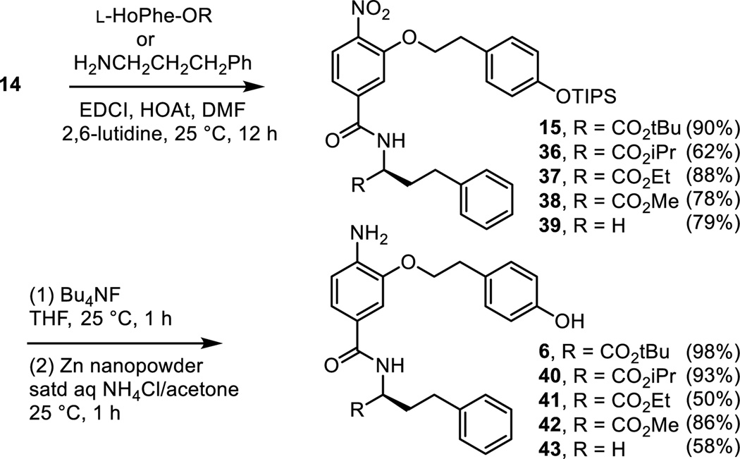 Scheme 4