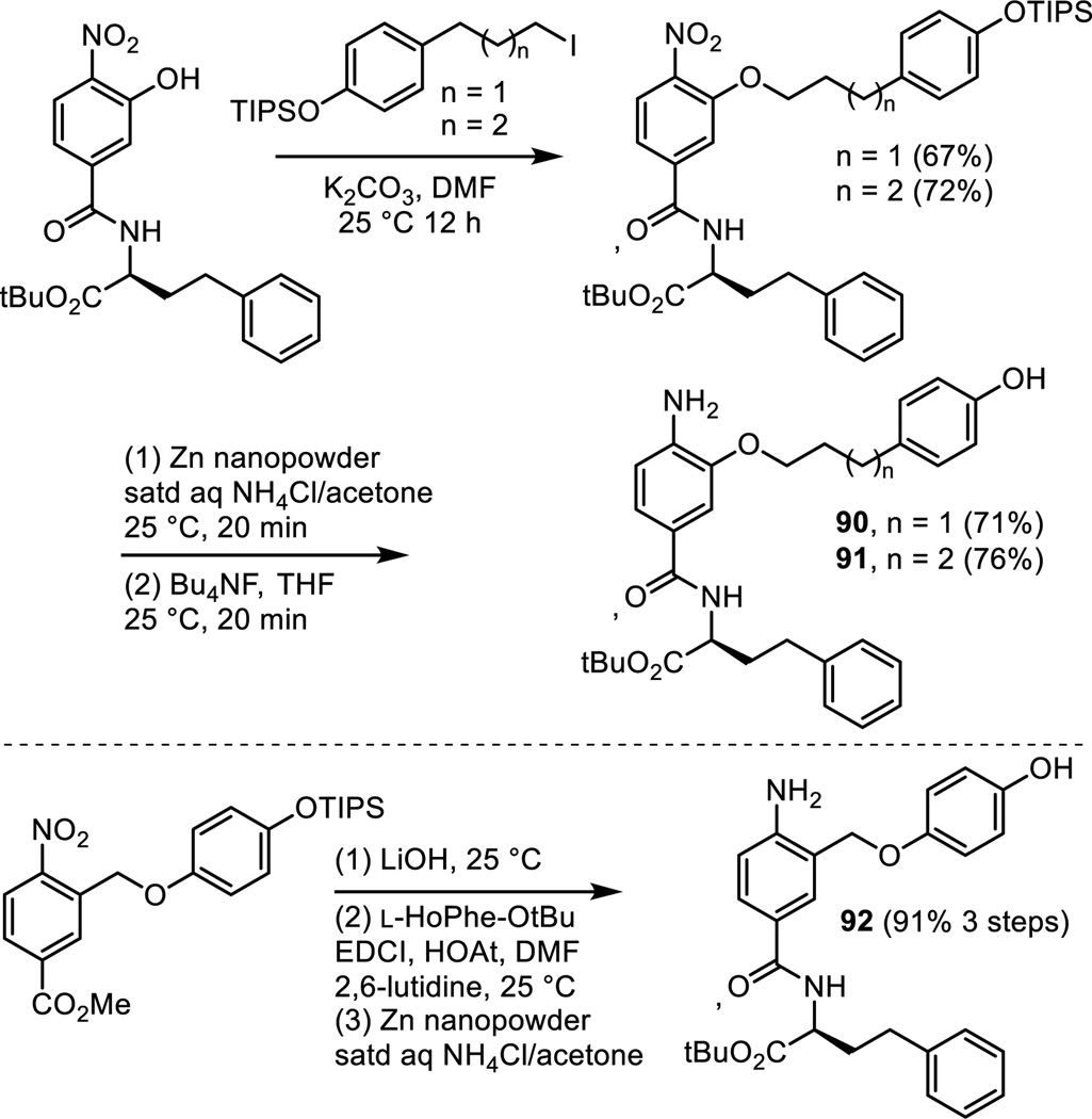 Scheme 9