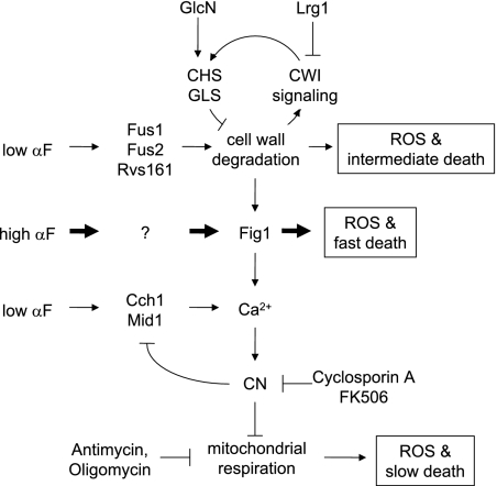 Figure 6.