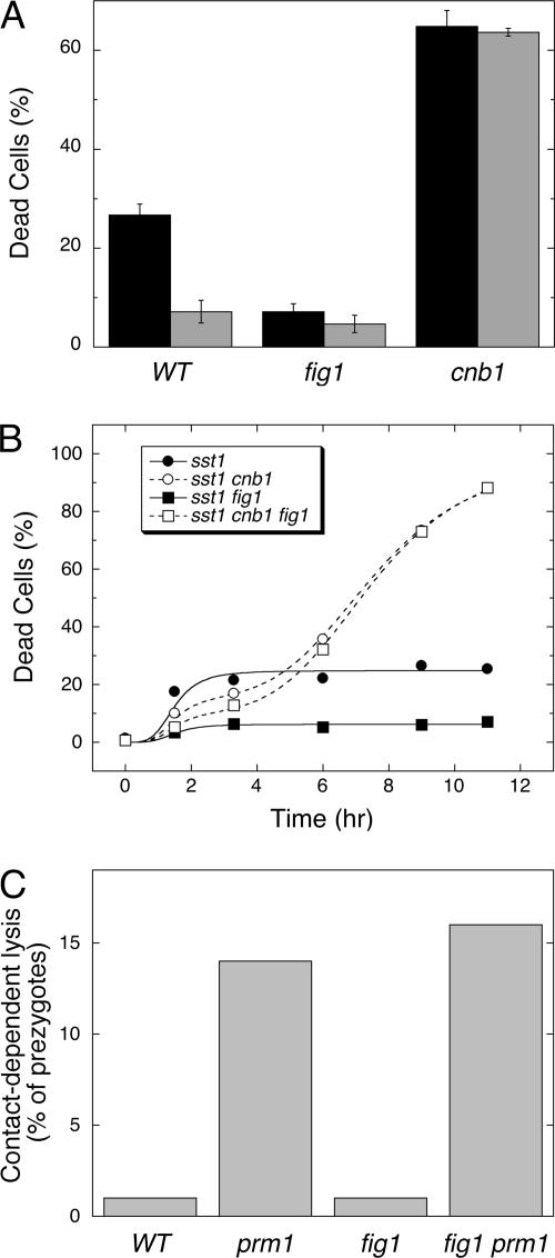 Figure 3.