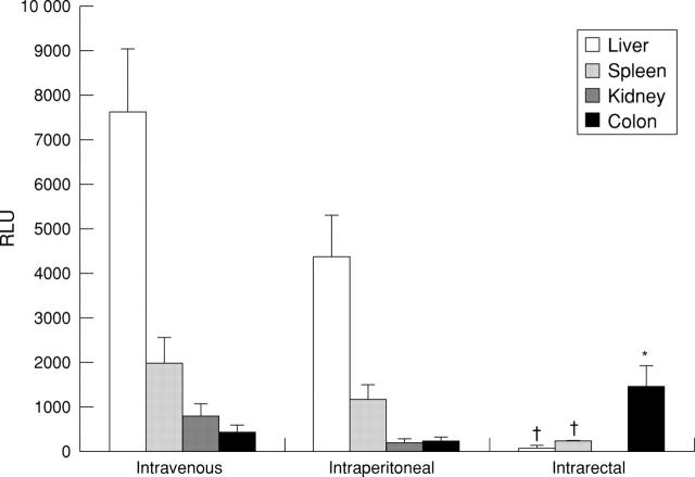 Figure 2  