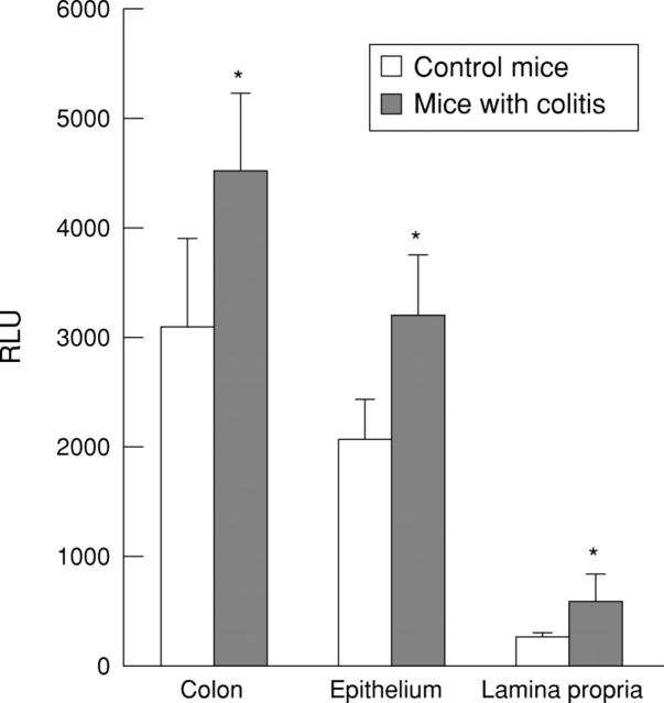 Figure 4  