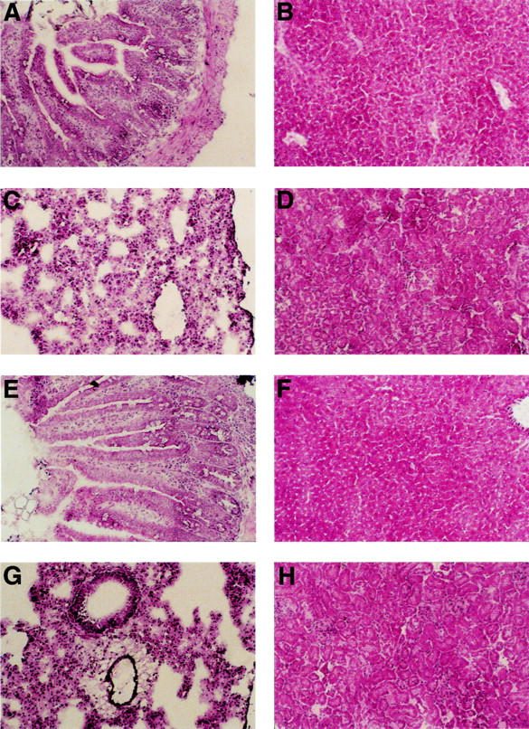 Figure 5  