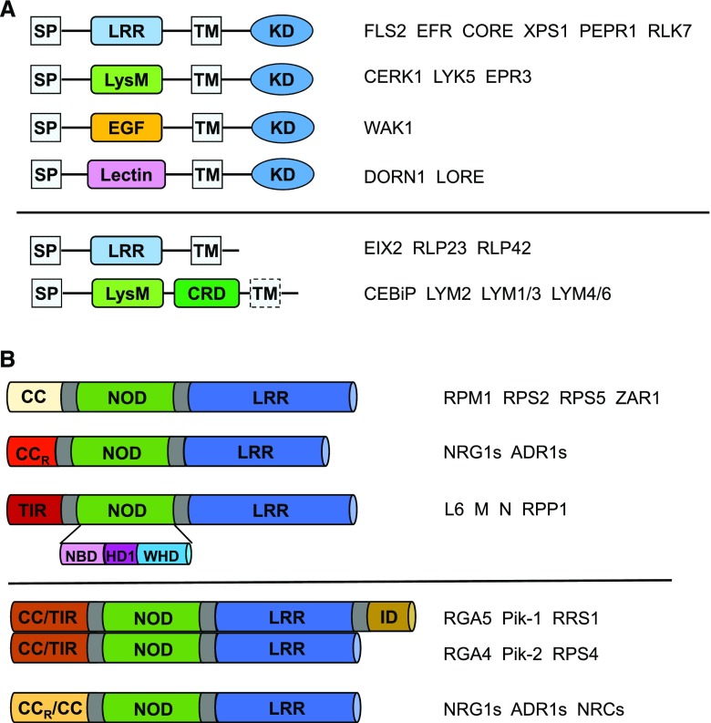 Figure 2.