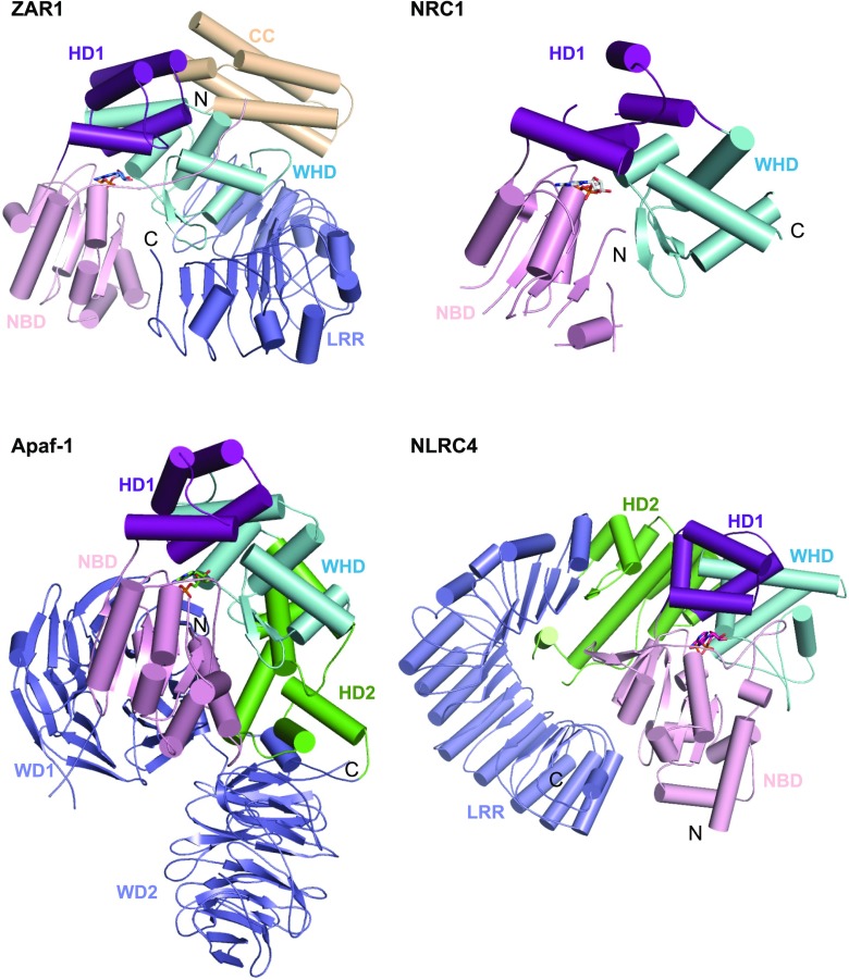 Figure 7.