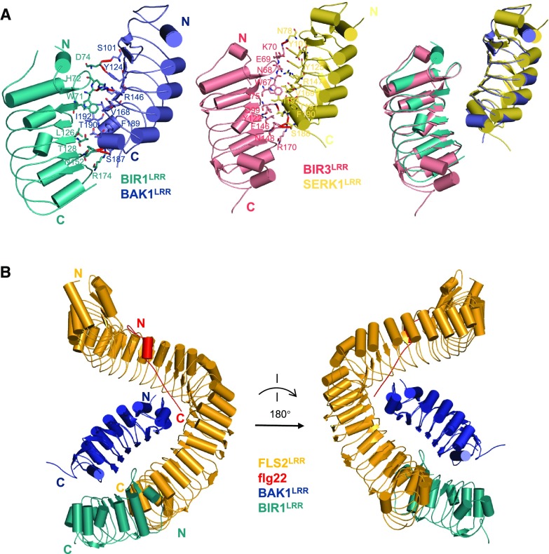 Figure 4.