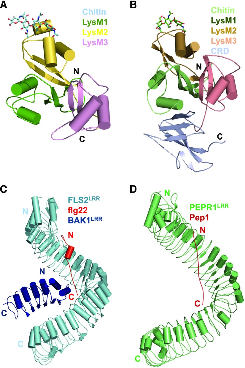 Figure 3.