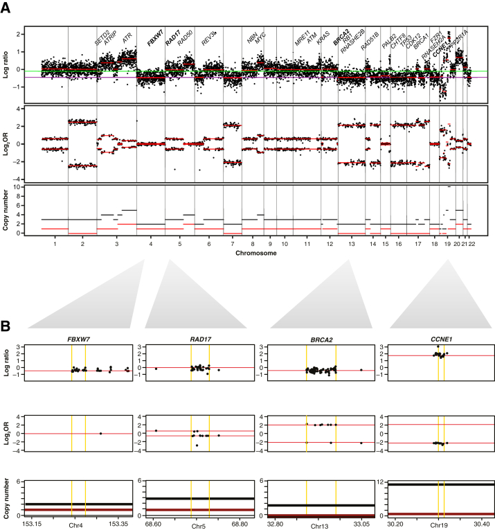 Figure 4