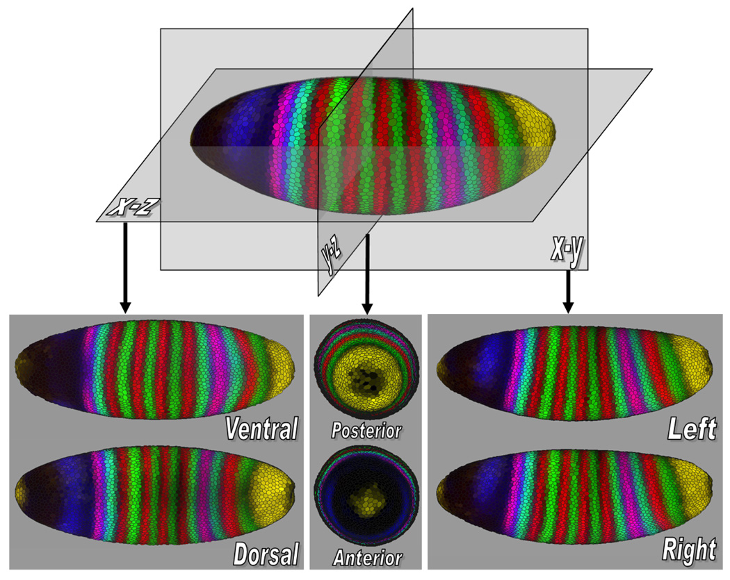 Fig. 2