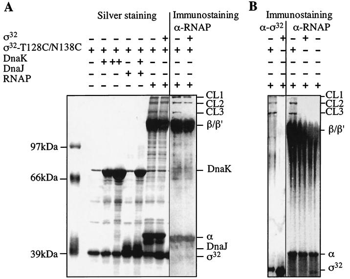 FIG. 9