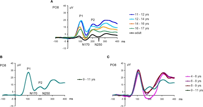 Figure 15