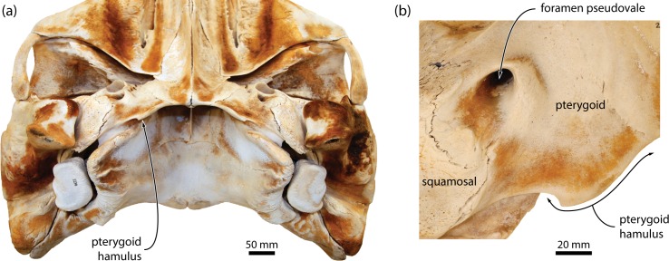 Fig 10