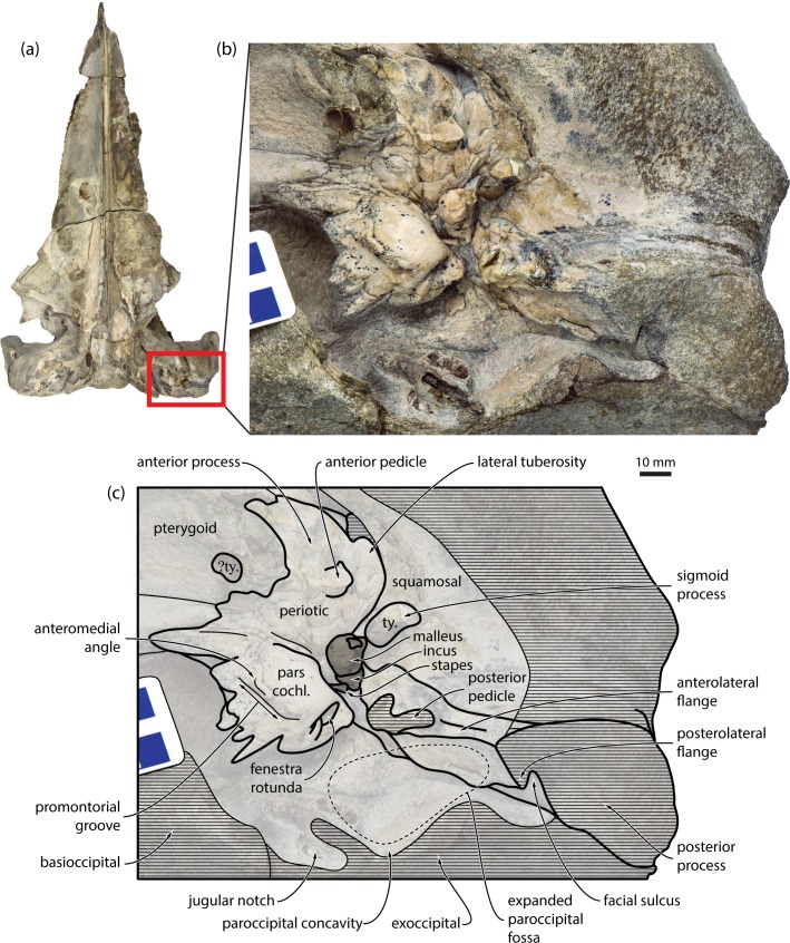 Fig 1