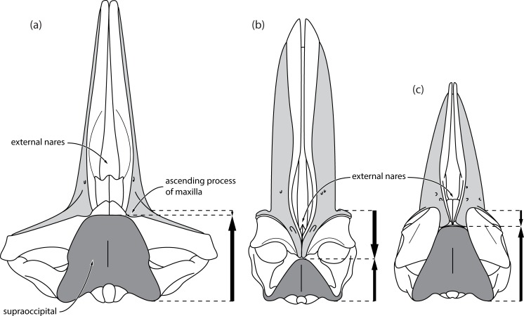 Fig 13