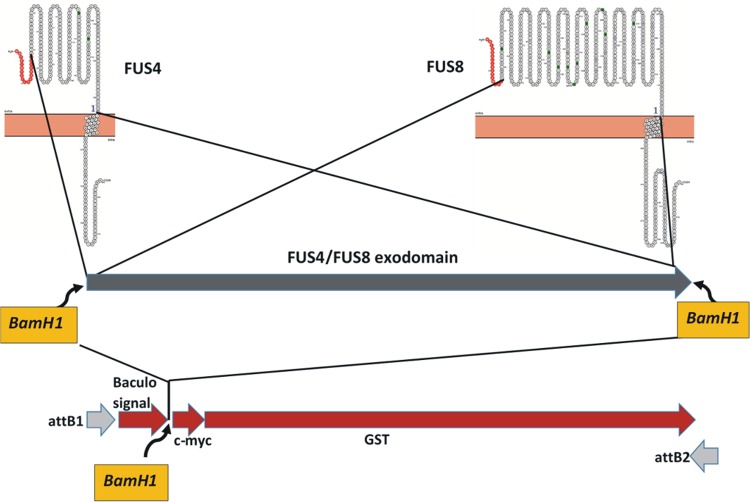 FIG 9