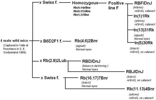 Figure  1. 