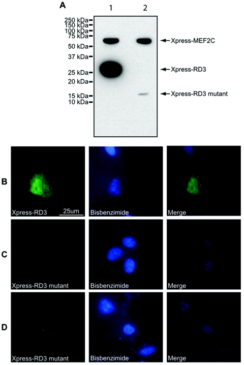 Figure  6. 