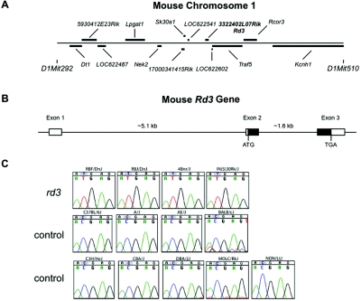 Figure  3. 