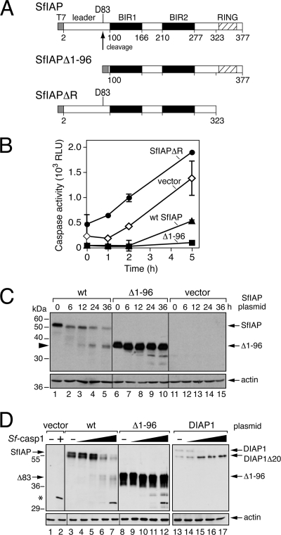 Fig. 9.