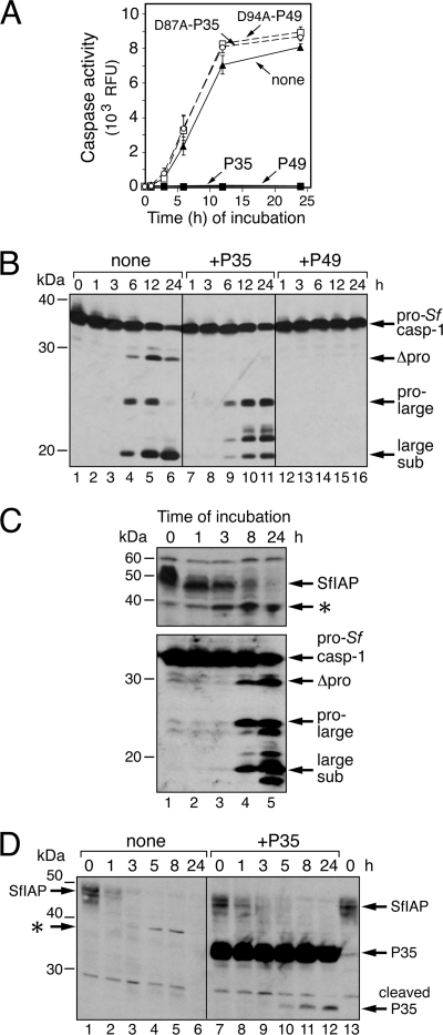 Fig. 8.