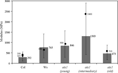 Fig. 10.