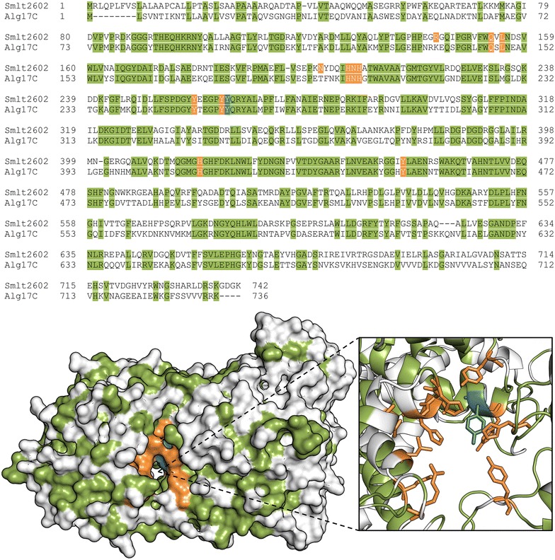 Fig. 2