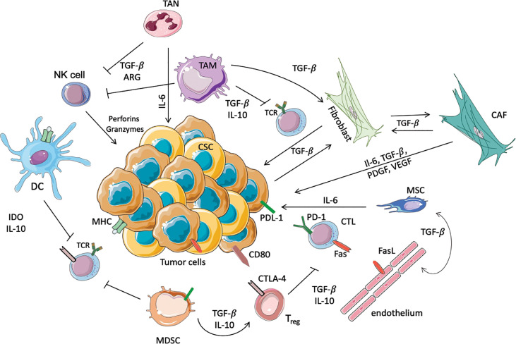 Figure 1