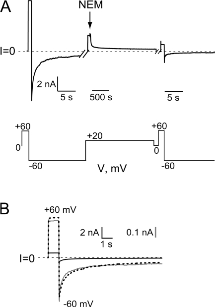 Figure 5.