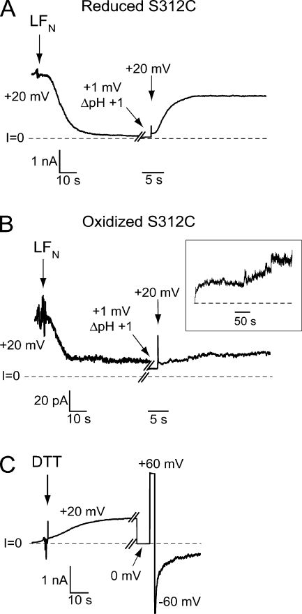 Figure 7.