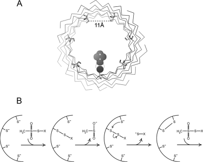 Figure 9.