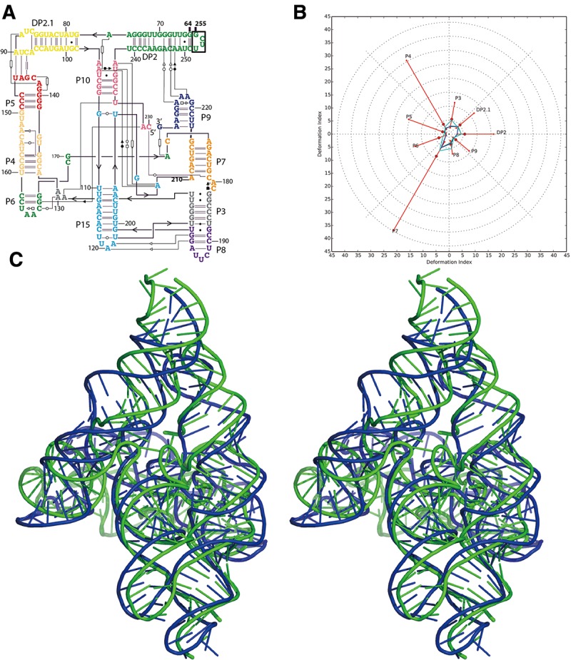 FIGURE 1.