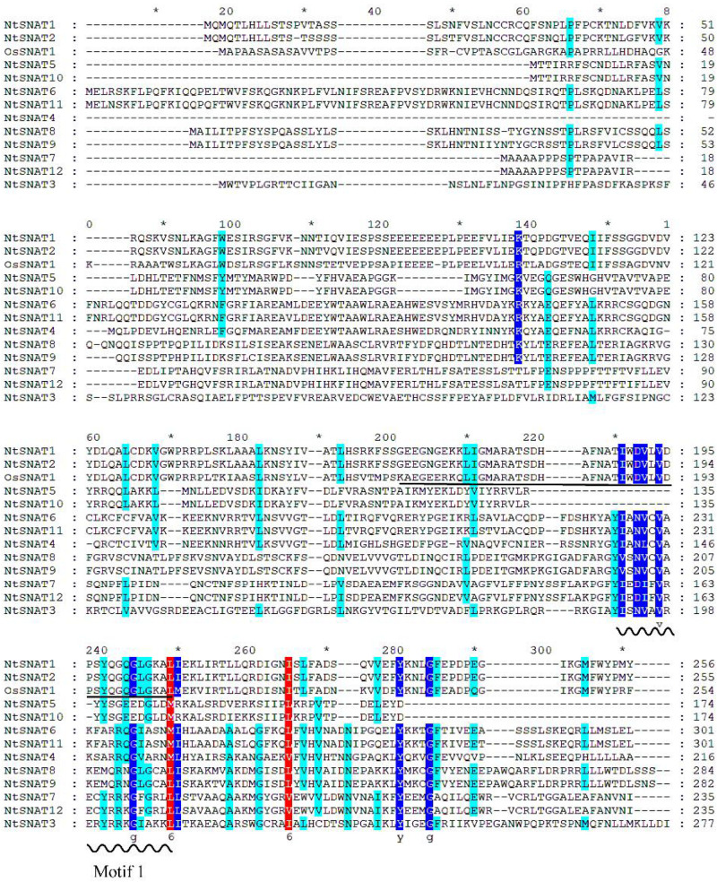 FIGURE 2