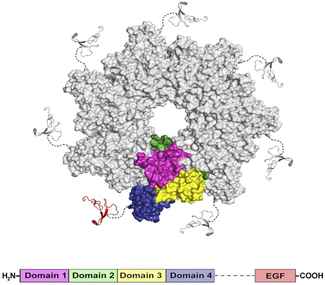 FIG 1 