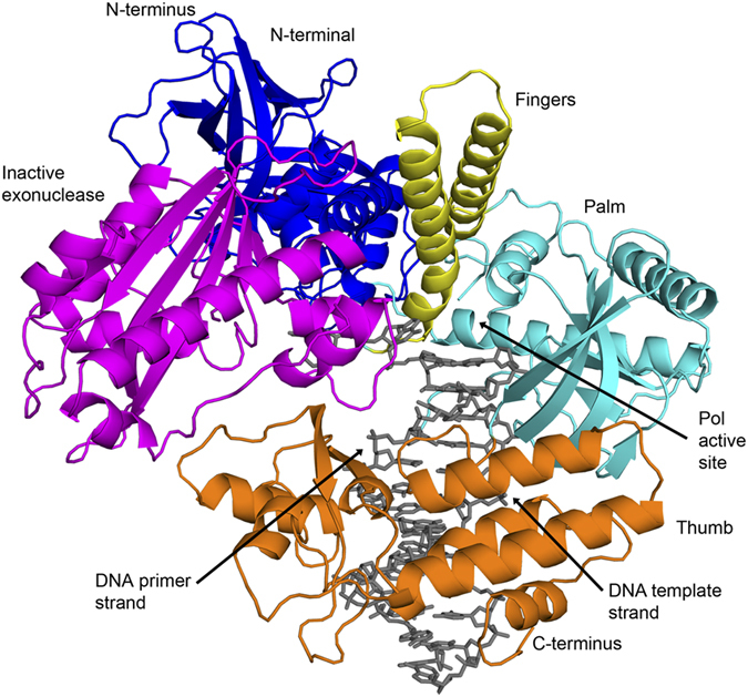 Figure 2