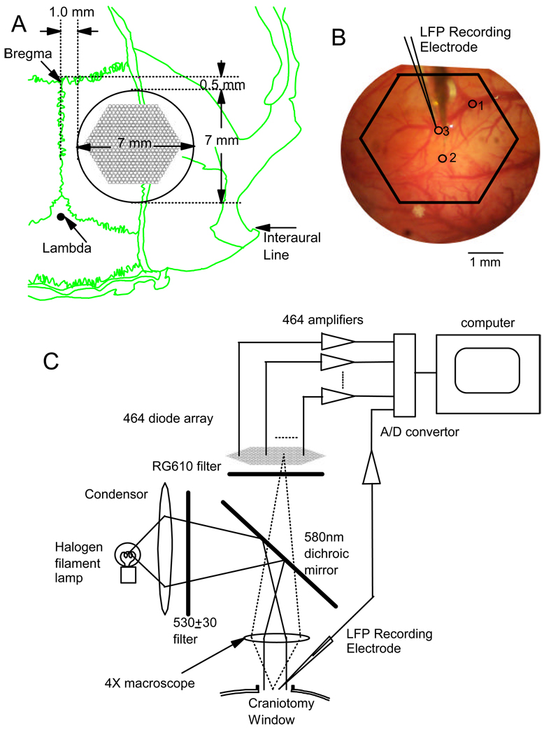 Fig. 1