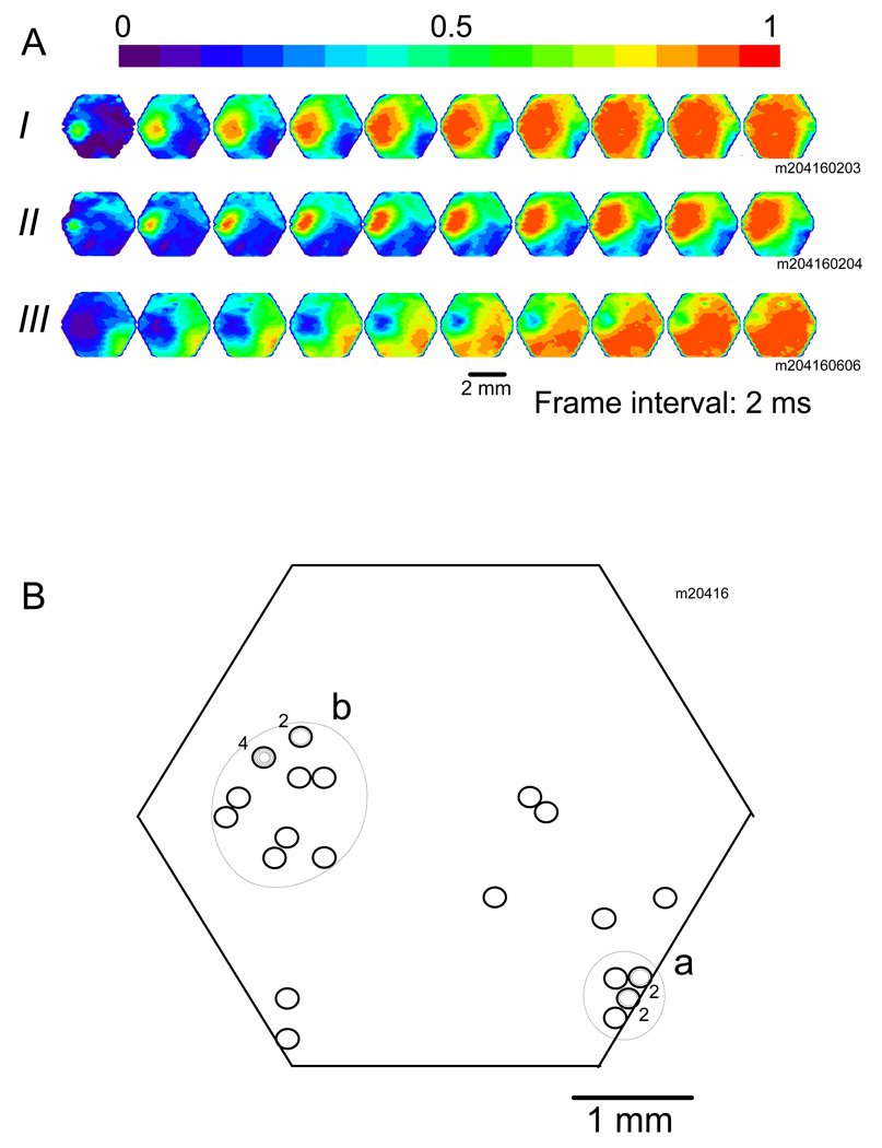 Fig. 4